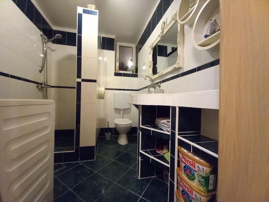 Nice Apartment Near By Capital Of Slovenia Liubliana Exterior foto