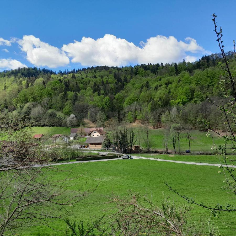 Nice Apartment Near By Capital Of Slovenia Liubliana Exterior foto
